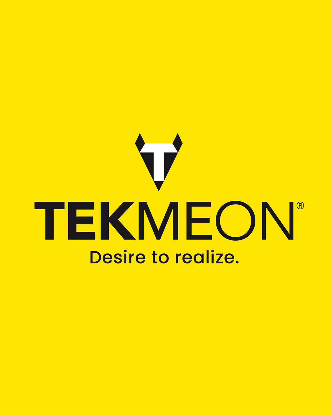 TEKMEON-01