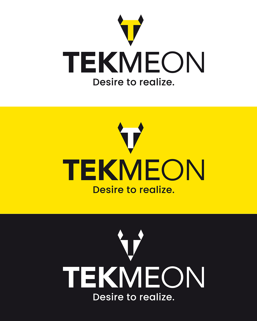 TEKMEON-03